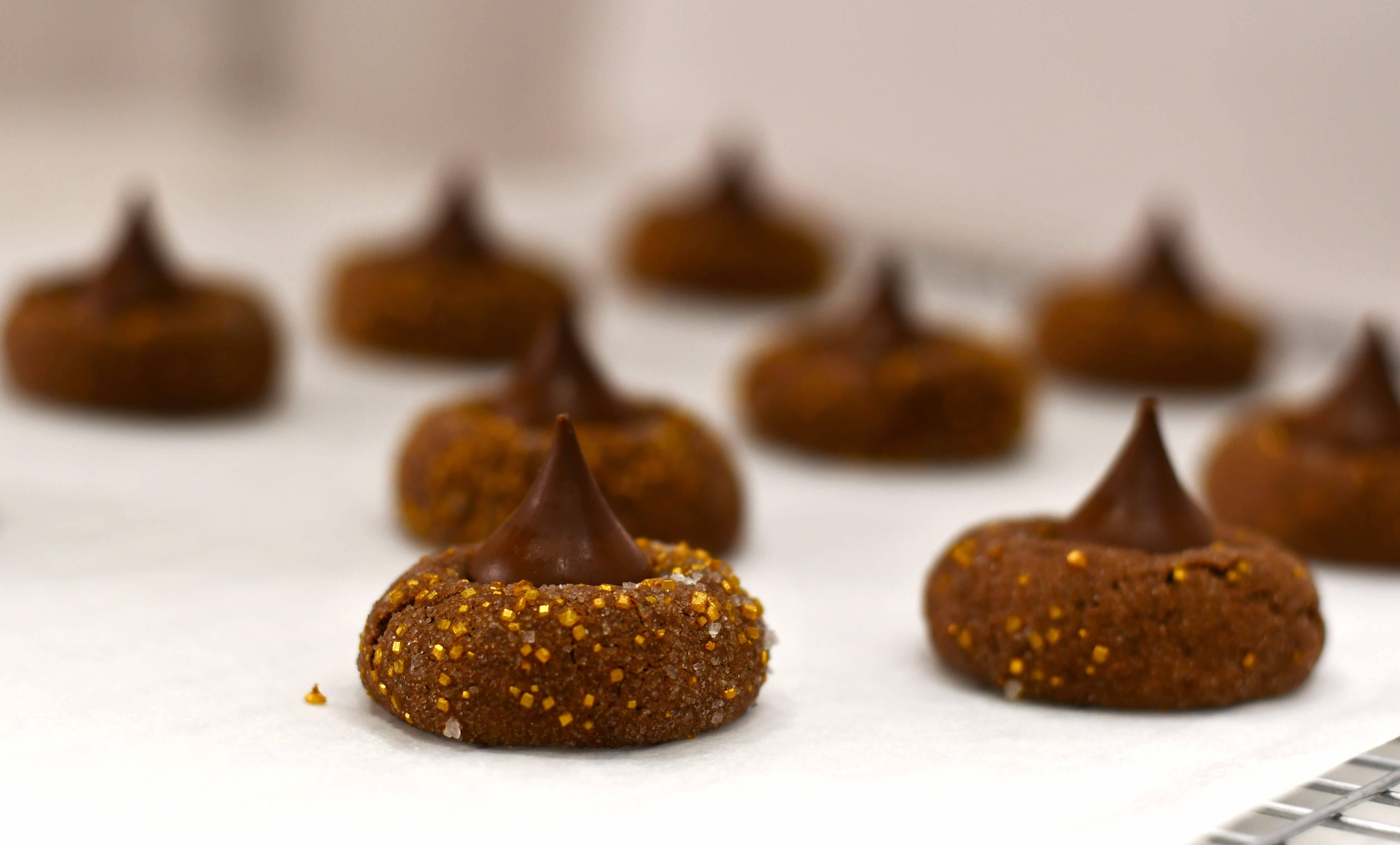 freshly baked chocolate gingerbread blossoms